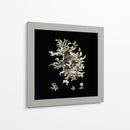 Negro Y Tan Coral Iii - Vision Studio | Cuadro decorativo de Canvas Lab
