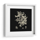 Negro Y Tan Coral Iii - Vision Studio | Cuadro decorativo de Canvas Lab