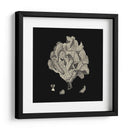 Black Y Tan Coral Iv - Vision Studio | Cuadro decorativo de Canvas Lab