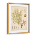 Reliquia Costera Ii - Vision Studio | Cuadro decorativo de Canvas Lab