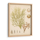 Reliquia Costera Ii - Vision Studio | Cuadro decorativo de Canvas Lab