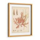 Reliquia Costera Iii - Vision Studio | Cuadro decorativo de Canvas Lab