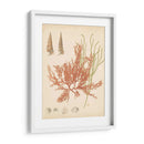 Reliquia Costera Iii - Vision Studio | Cuadro decorativo de Canvas Lab