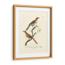 Aves Francesas Antiguas I - de Langlois | Cuadro decorativo de Canvas Lab