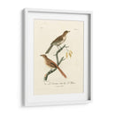 Aves Francesas Antiguas I - de Langlois | Cuadro decorativo de Canvas Lab