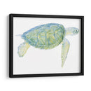 Tortuga De Mar Tranquila I - Megan Meagher | Cuadro decorativo de Canvas Lab