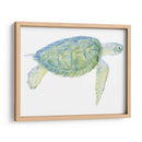 Tortuga De Mar Tranquila I - Megan Meagher | Cuadro decorativo de Canvas Lab