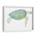 Tortuga De Mar Tranquila I - Megan Meagher | Cuadro decorativo de Canvas Lab