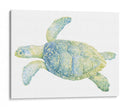 Tortuga De Mar Tranquila Ii - Megan Meagher | Cuadro decorativo de Canvas Lab
