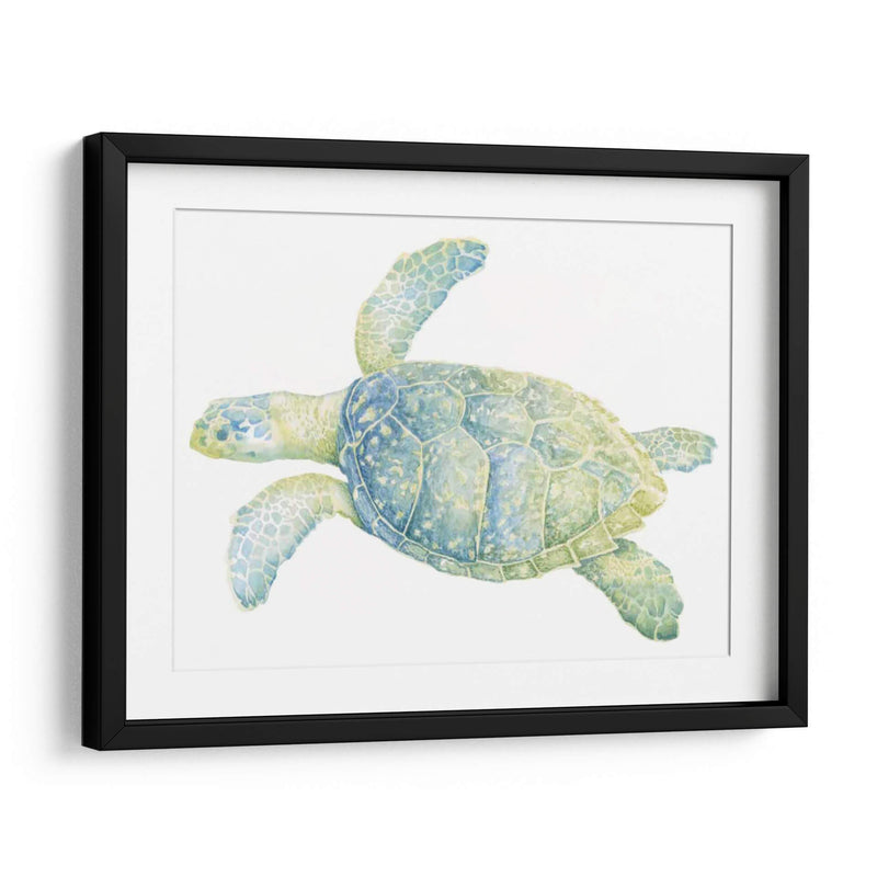 Tortuga De Mar Tranquila Ii - Megan Meagher | Cuadro decorativo de Canvas Lab