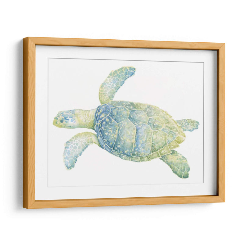 Tortuga De Mar Tranquila Ii - Megan Meagher | Cuadro decorativo de Canvas Lab