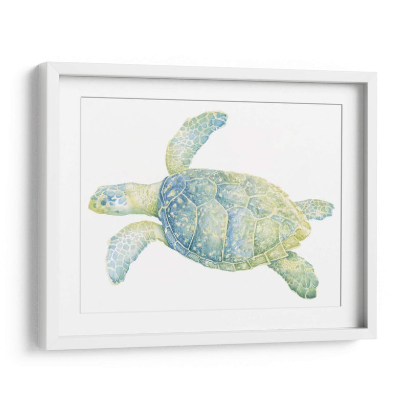 Tortuga De Mar Tranquila Ii - Megan Meagher | Cuadro decorativo de Canvas Lab