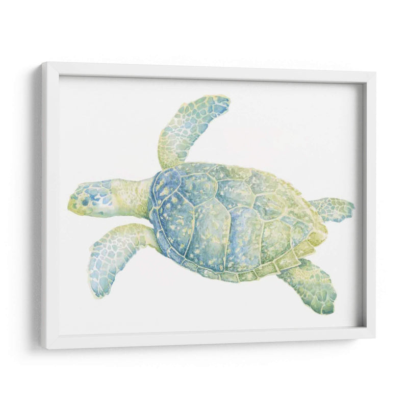 Tortuga De Mar Tranquila Ii - Megan Meagher | Cuadro decorativo de Canvas Lab