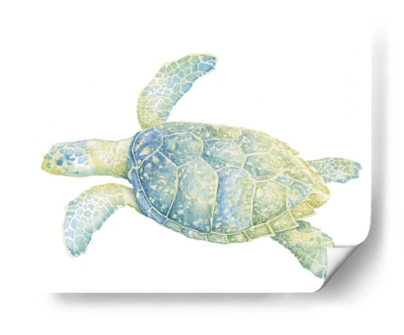Tortuga De Mar Tranquila Ii - Megan Meagher | Cuadro decorativo de Canvas Lab