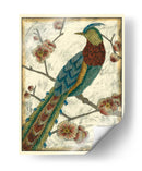 Faisán Bordado I - Chariklia Zarris | Cuadro decorativo de Canvas Lab