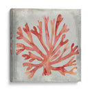 Acuarela Coral Iii - Megan Meagher | Cuadro decorativo de Canvas Lab