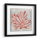 Acuarela Coral Iii - Megan Meagher | Cuadro decorativo de Canvas Lab