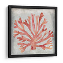 Acuarela Coral Iii - Megan Meagher | Cuadro decorativo de Canvas Lab