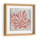 Acuarela Coral Iii - Megan Meagher | Cuadro decorativo de Canvas Lab