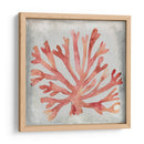 Acuarela Coral Iii - Megan Meagher | Cuadro decorativo de Canvas Lab