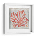 Acuarela Coral Iii - Megan Meagher | Cuadro decorativo de Canvas Lab