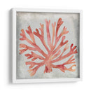 Acuarela Coral Iii - Megan Meagher | Cuadro decorativo de Canvas Lab