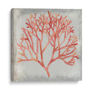 Acuarela Coral Iv - Megan Meagher | Cuadro decorativo de Canvas Lab