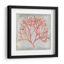 Acuarela Coral Iv - Megan Meagher | Cuadro decorativo de Canvas Lab