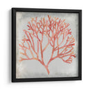 Acuarela Coral Iv - Megan Meagher | Cuadro decorativo de Canvas Lab