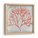 Acuarela Coral Iv - Megan Meagher | Cuadro decorativo de Canvas Lab