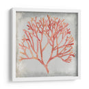 Acuarela Coral Iv - Megan Meagher | Cuadro decorativo de Canvas Lab