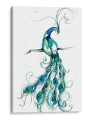 Aquarelle Peacock I - Jennifer Goldberger | Cuadro decorativo de Canvas Lab