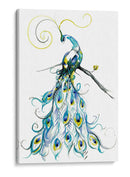 Aquarelle Peacock Ii - Jennifer Goldberger | Cuadro decorativo de Canvas Lab