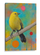 Misterios Del Universo Xii - Bridget G. Evans | Cuadro decorativo de Canvas Lab