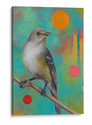 Misterios Del Universo Xiii - Bridget G. Evans | Cuadro decorativo de Canvas Lab