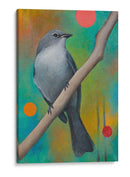 Misterios Del Universo Xiv - Bridget G. Evans | Cuadro decorativo de Canvas Lab