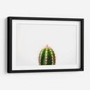 Espinazo del cactus | Cuadro decorativo de Canvas Lab