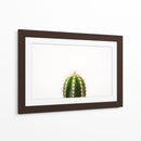 Espinazo del cactus | Cuadro decorativo de Canvas Lab