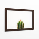 Espinazo del cactus | Cuadro decorativo de Canvas Lab