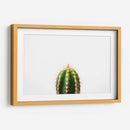 Espinazo del cactus | Cuadro decorativo de Canvas Lab