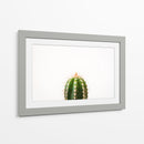 Espinazo del cactus | Cuadro decorativo de Canvas Lab