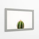 Espinazo del cactus | Cuadro decorativo de Canvas Lab