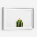 Espinazo del cactus | Cuadro decorativo de Canvas Lab