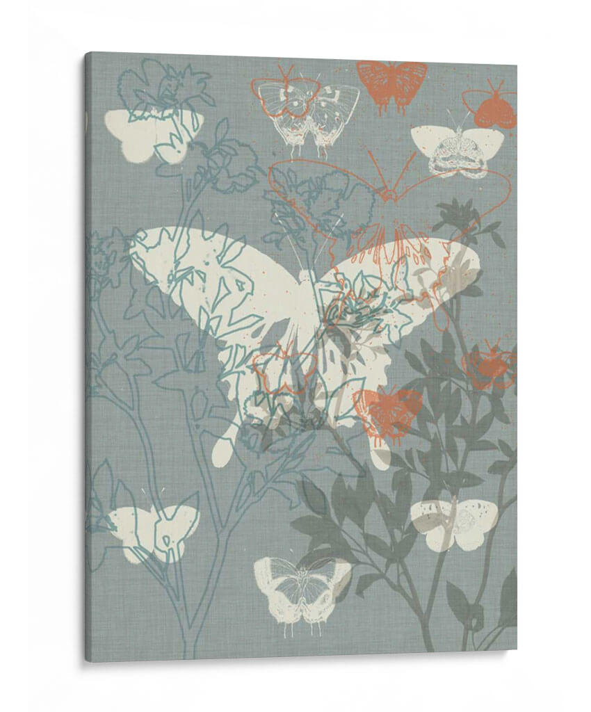 Flores Y Mariposas Ii - Jennifer Goldberger | Cuadro decorativo de Canvas Lab