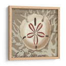 Seaside Sonnet Iii - June Erica Vess | Cuadro decorativo de Canvas Lab