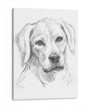 Compañero Constante I - Ethan Harper | Cuadro decorativo de Canvas Lab