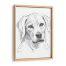 Compañero Constante I - Ethan Harper | Cuadro decorativo de Canvas Lab