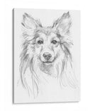 Compañero Constante Ii - Ethan Harper | Cuadro decorativo de Canvas Lab