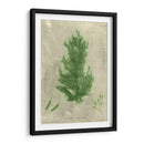 Alga Esmeralda I | Cuadro decorativo de Canvas Lab