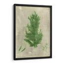 Alga Esmeralda I | Cuadro decorativo de Canvas Lab